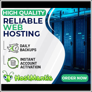 Hostmantis Google Ads