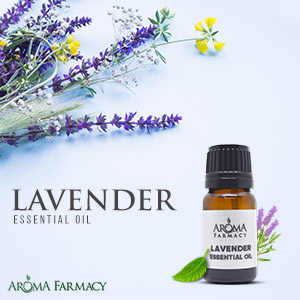 Lavender Essential Oil